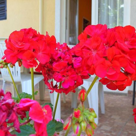 Apartment Girasole Rovinj Ngoại thất bức ảnh