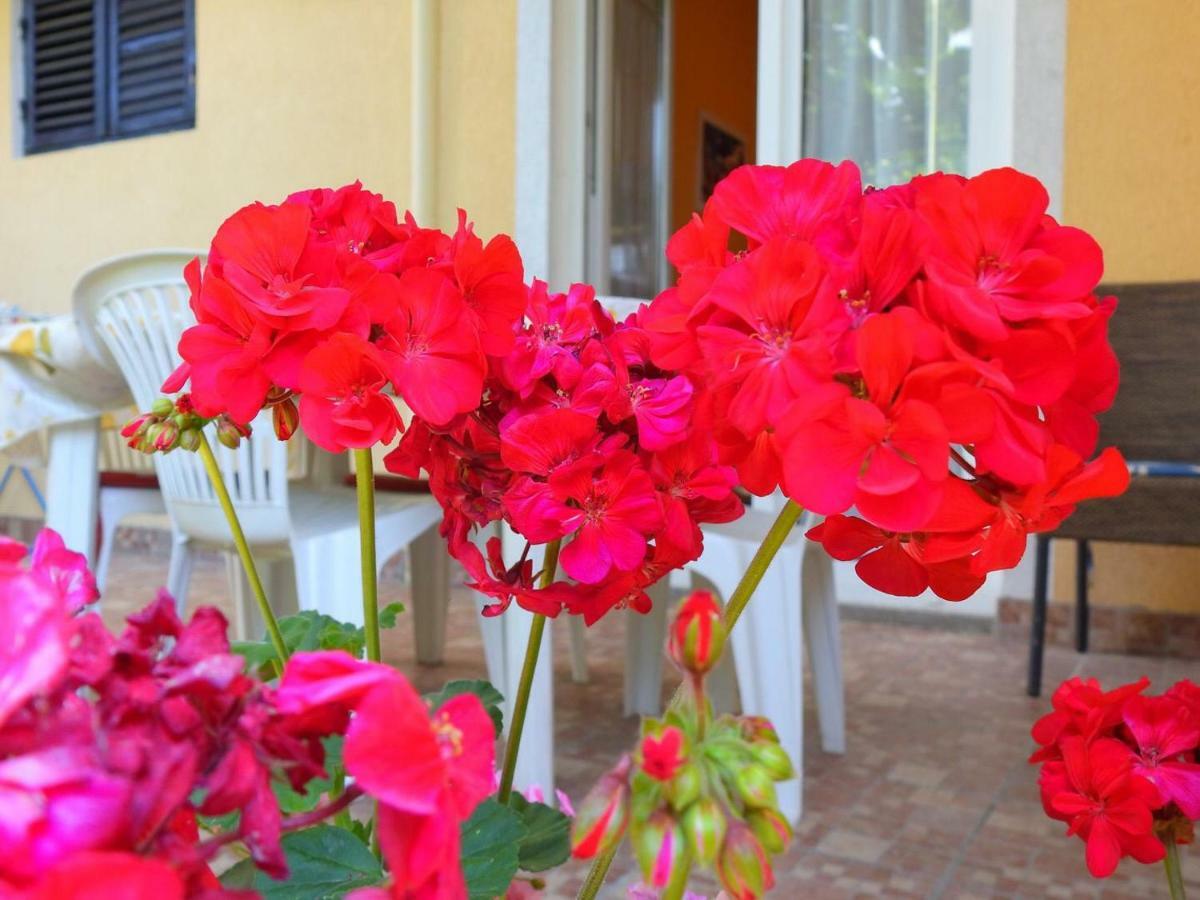 Apartment Girasole Rovinj Ngoại thất bức ảnh